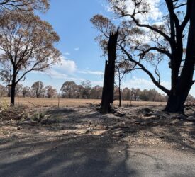 Australian farmers fight for their livelihoods following bushfires and floods