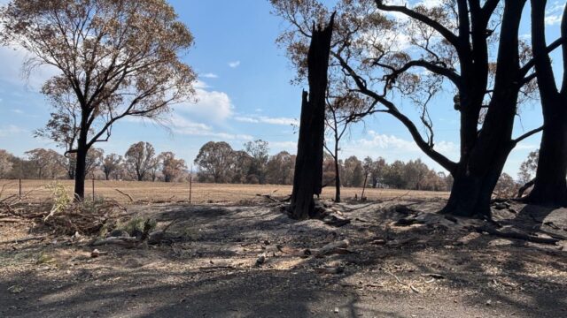 Australian farmers fight for their livelihoods following bushfires and floods