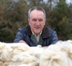 NI sheep farmers advised not to store wool over winter