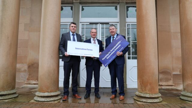 NI beef and dairy farmers sought for CAFRE ‘Innovation Farms project
