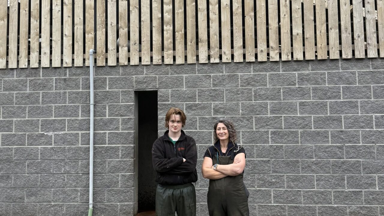 New AgriSearch video series aims to support best practice calf rearing