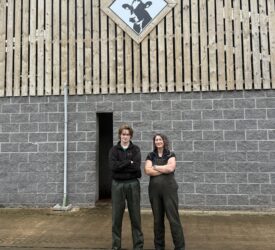 New AgriSearch video series aims to support best practice calf rearing