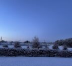 Frosty conditions impact livestock sales across Ireland