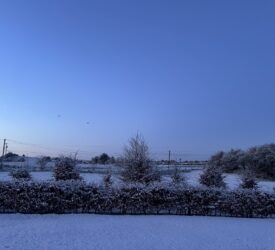 Frosty conditions impact livestock sales across Ireland