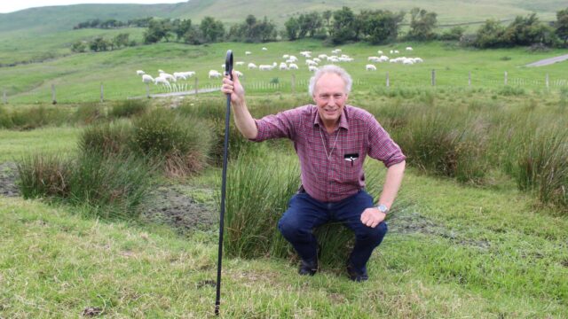 Use of EIDs in NI sheep industry ‘opened many new opportunities’ – flock owner