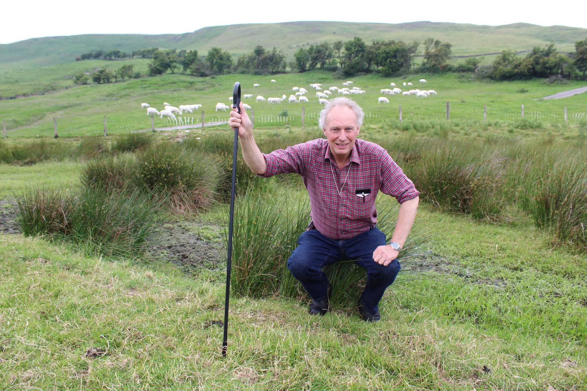 agriland.co.uk - Richard Halleron - Use of EIDs in NI sheep industry 'opened many new opportunities' - flock owner