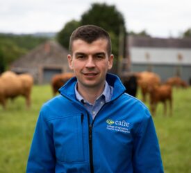 CAFRE launches BEEF finishing groups to help farmers ‘drive margins’