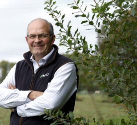 Farmers now have ‘firmer ground to build on and grow in 2026’ – NFU president