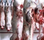 New sheep carcass rules to 'deliver fairer prices for farmers' - Defra