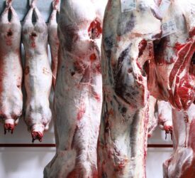 New sheep carcass rules to ‘deliver fairer prices for farmers’ – Defra