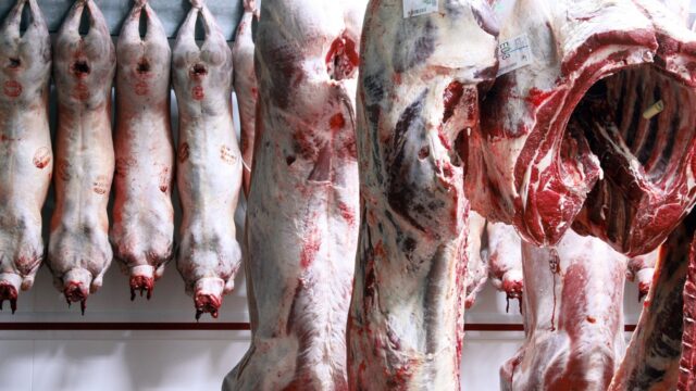 New sheep carcass rules to 'deliver fairer prices for farmers' - Defra
