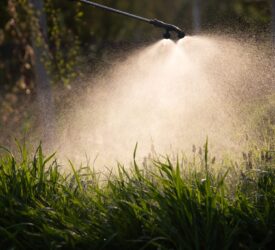 DAERA urges farmers and growers to take part in pesticide usage survey