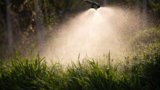 DAERA urges farmers and growers to take part in pesticide usage survey