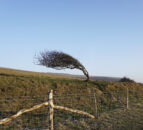 More warnings for snow and ice ahead of Storm Goretti