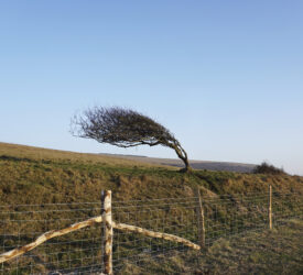 More warnings for snow and ice ahead of Storm Goretti