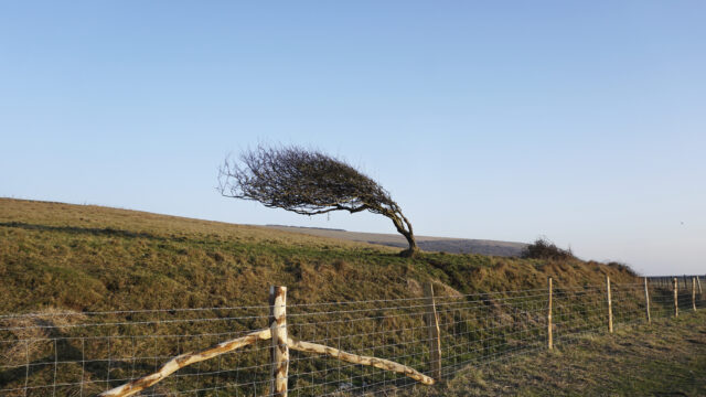More warnings for snow and ice ahead of Storm Goretti