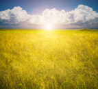 Climate report: Years from 2023 to 2025 ‘were exceptionally warm’