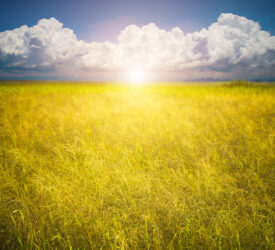 Climate report: Years from 2023 to 2025 ‘were exceptionally warm’