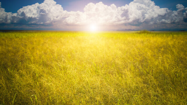 Climate report: Years from 2023 to 2025 ‘were exceptionally warm’