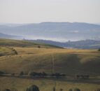 Farmer Network to hold workshop for SFI scheme