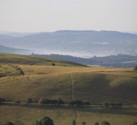 Farmer Network to hold workshop for SFI scheme