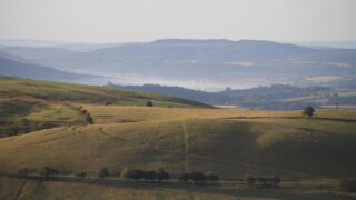 Farmer Network to hold workshop for SFI scheme