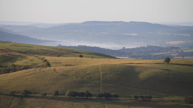 Farmer Network to hold workshop for SFI scheme