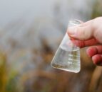 Court: NI farmer convicted for water pollution offence