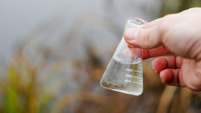 Court: NI farmer convicted for water pollution offence