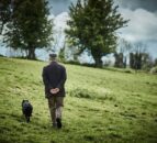 New safety campaign targets older farmers in NI