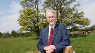 Welsh government announces ‘enhanced grants’ for early tree planting