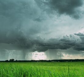 Flooding ‘increases risk of avian influenza incursion’ – DAERA