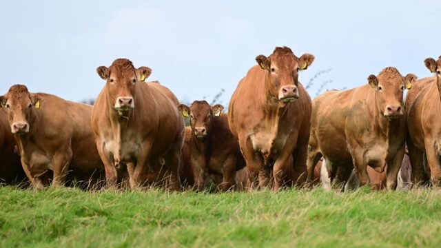 Dunbia advances sustainability plan with new project in UK