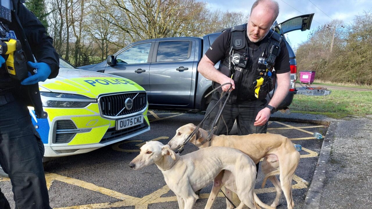 Watch: High speed police chase of hare coursing suspects in Cambridgeshire