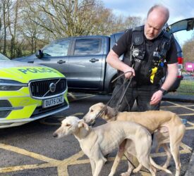 Watch: High speed police chase of hare coursing suspects in Cambridgeshire