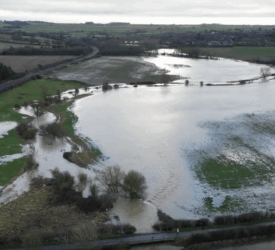 Largest farmer-led nature recovery project moves into delivery phase