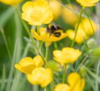 Integrated pest management a ‘key driver’ for UK agrochemical initiative