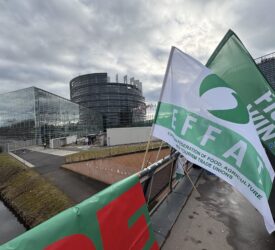 Watch: Agri sector workers demonstrate in Strasbourg