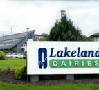 Lakeland Dairies holds January milk price but introduces ‘input support’