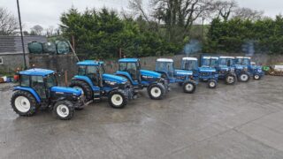Vintage tractors for sale at Northern Ireland auction