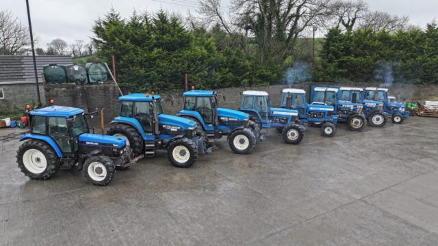 Vintage tractors for sale at Northern Ireland auction