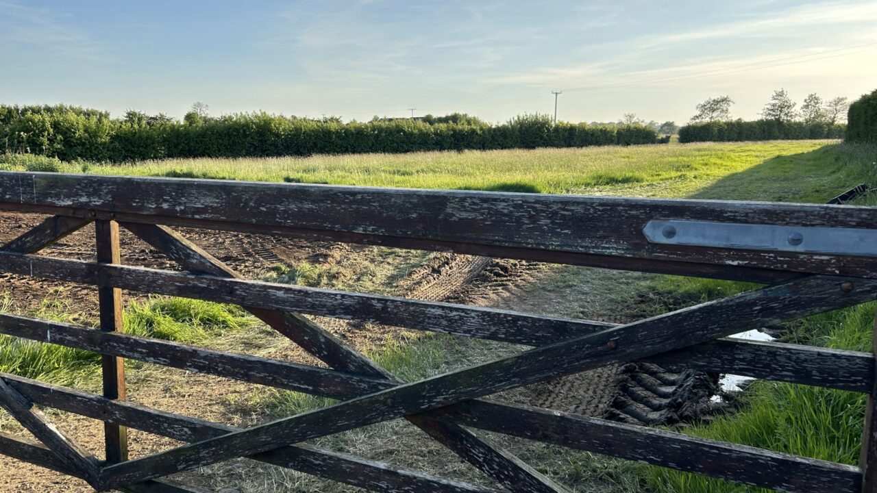 DAERA seeks chair and members for nature conservation council