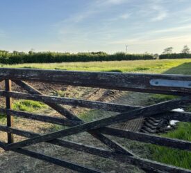 DAERA seeks chair and members for nature conservation council