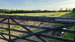 DAERA seeks chair and members for nature conservation council