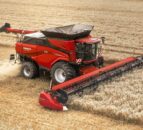 Global wheat markets start to strengthen slightly – AHDB