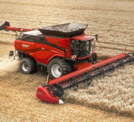 Global wheat markets start to strengthen slightly – AHDB