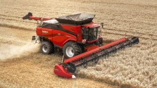 Global wheat markets start to strengthen slightly – AHDB