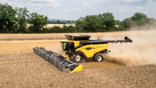 UK feed wheat futures up slightly – AHDB