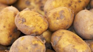 No return in sight for fungicide used to treat potato blight – GB Potatoes