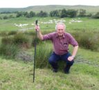 Vaccinating flock against bluetongue ‘obvious step to take’ – sheep breeder